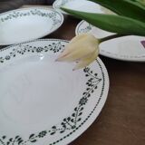 Lot 4 soup plates Badonviller France iron earth numbered 2120