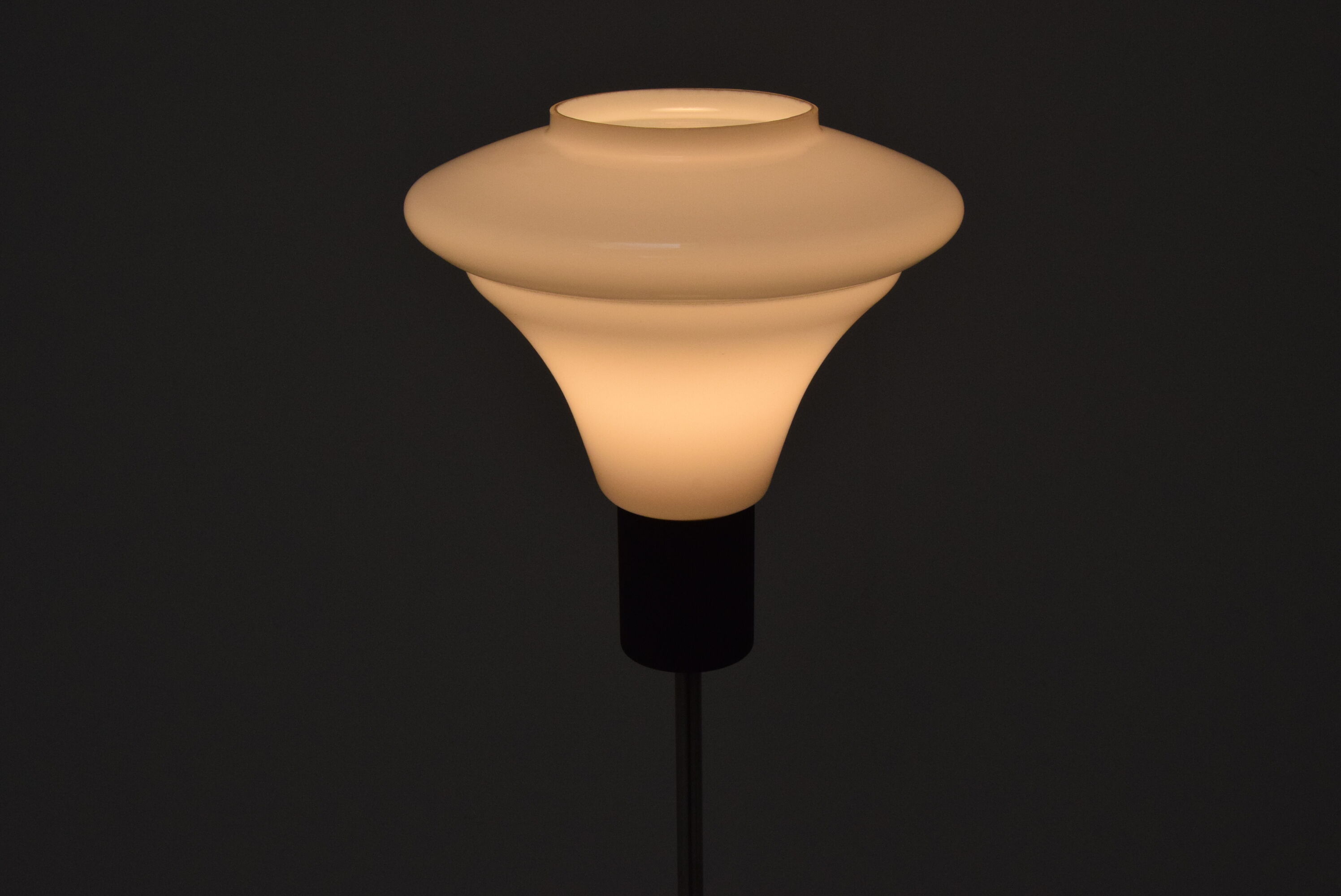 Mid-century floor lamp by Kamenicky Senov,1960