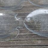 12 assiettes plates Arcoroc vintage en verre transparent figurant un poisson