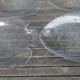 Set of twelve Arcoroc transparent glass fish-shaped dinner plates - vintage.
