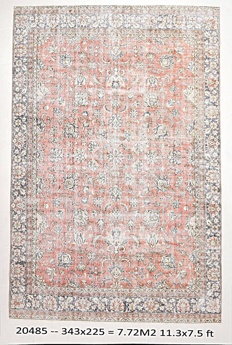 7x11 Salmon Pink & Blue Vintage Persian Rug, Large Floral Rustic Decor
