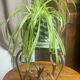 Occasional table in wrought iron and marble