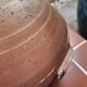 Eric Astoul planter