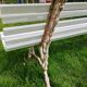 Banc de jardin avec pieds en fonte ancien