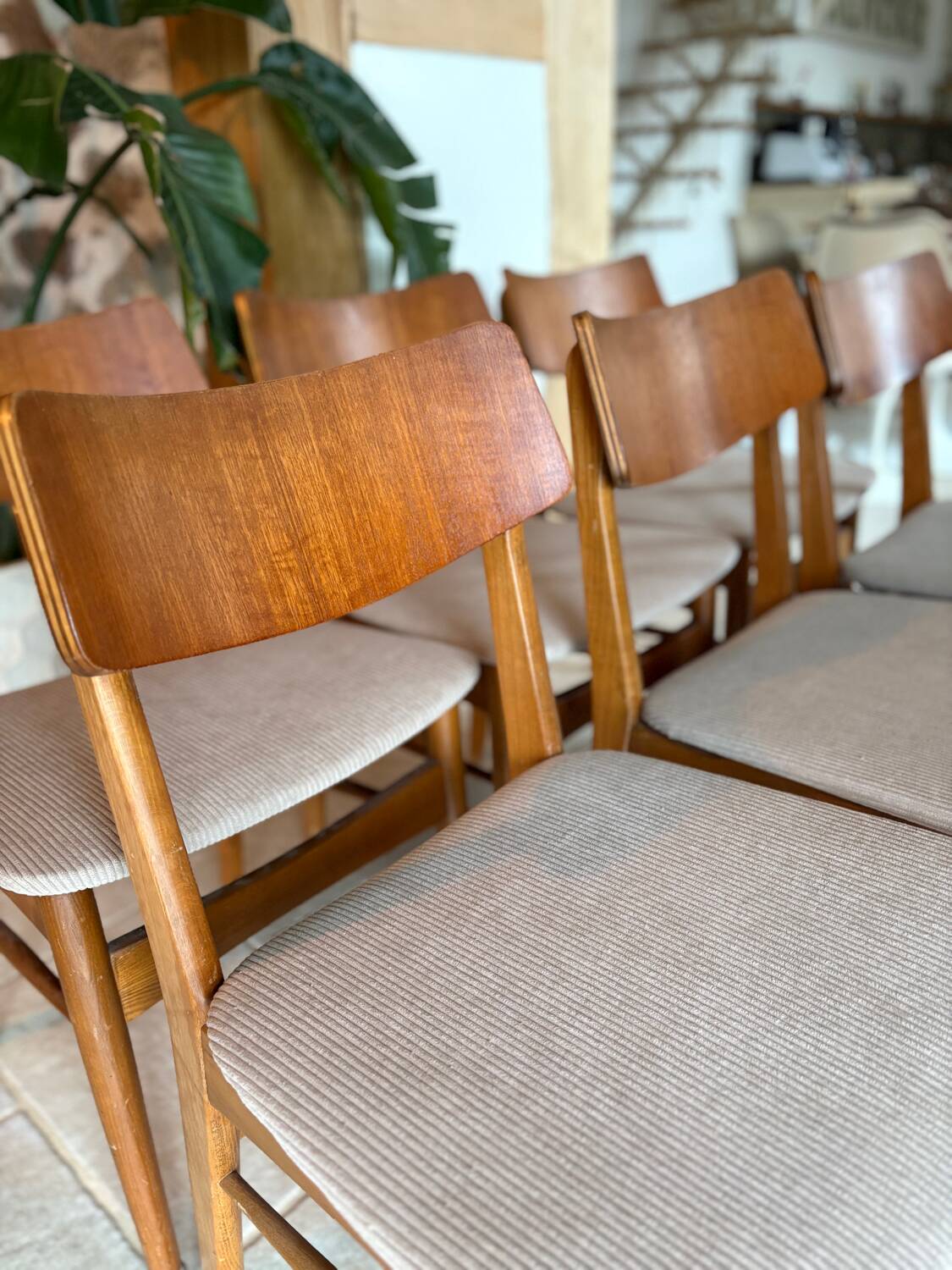 6 Scandinavian corduroy chairs
