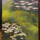 Water Lily Reflections
