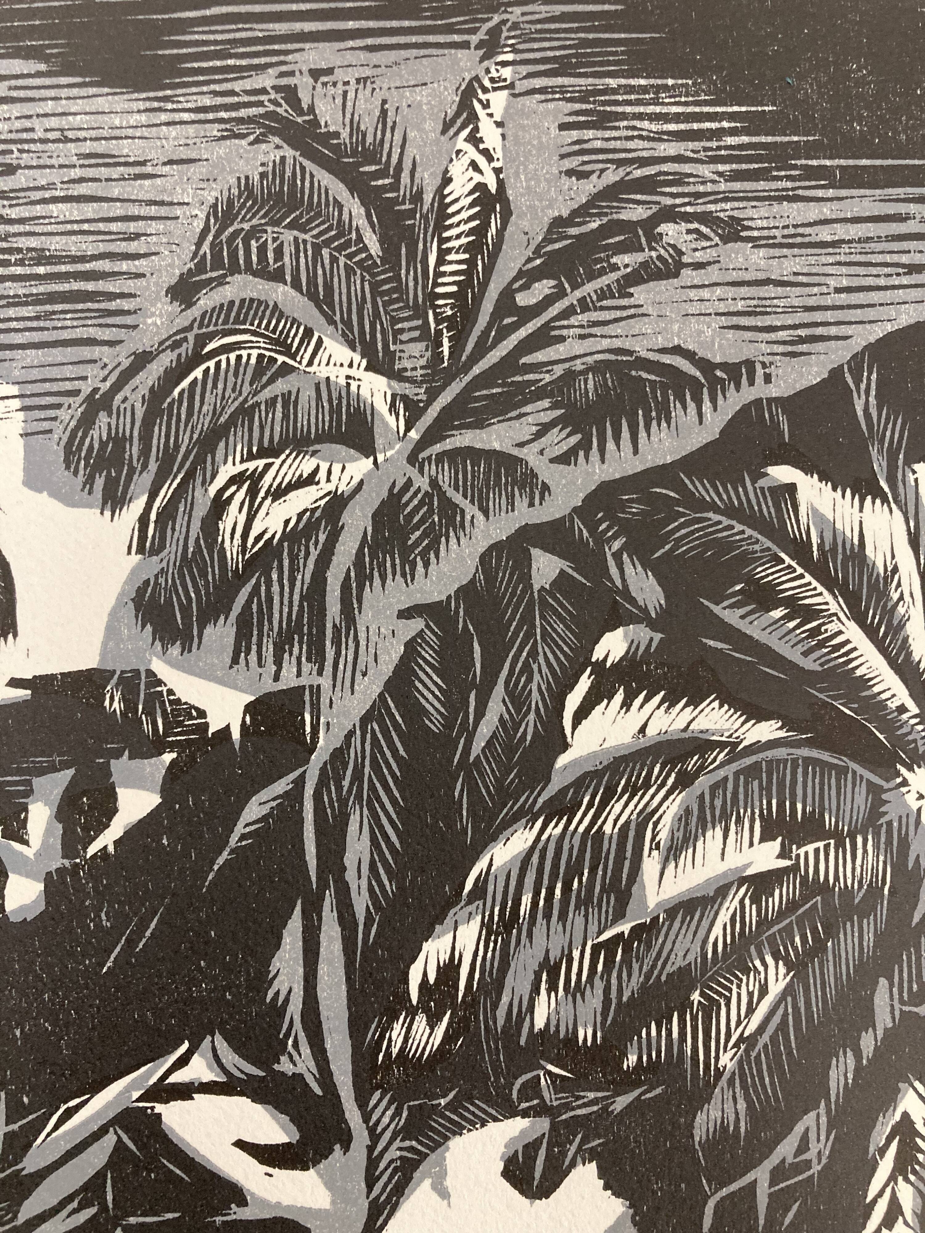 Illustration Le Bois des Cocotiers