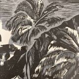 Illustration Le Bois des Cocotiers