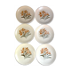 Vintage dessert plates St Amand