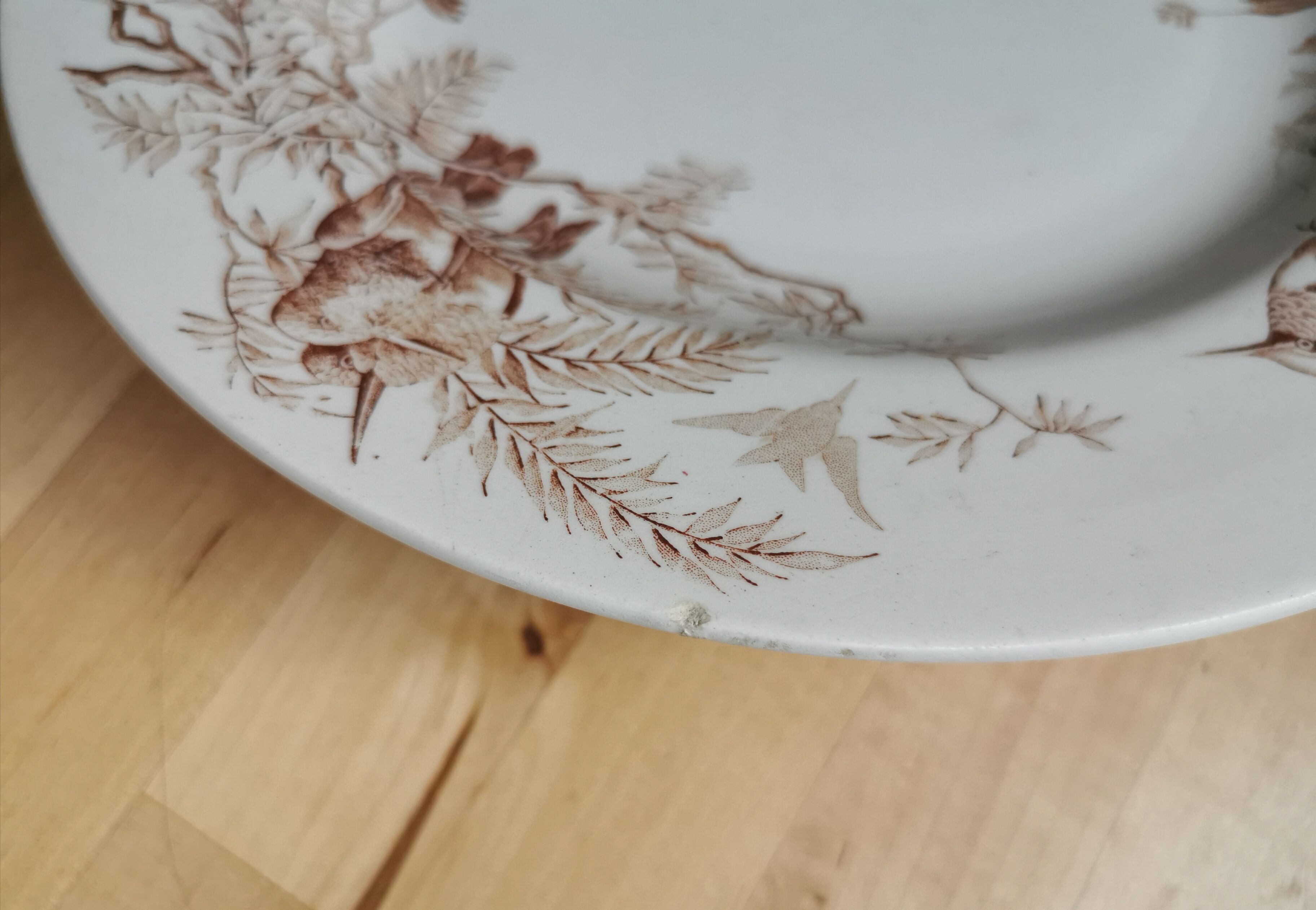 Lot of 8 Colibri luneville plates