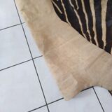 Zebra skin