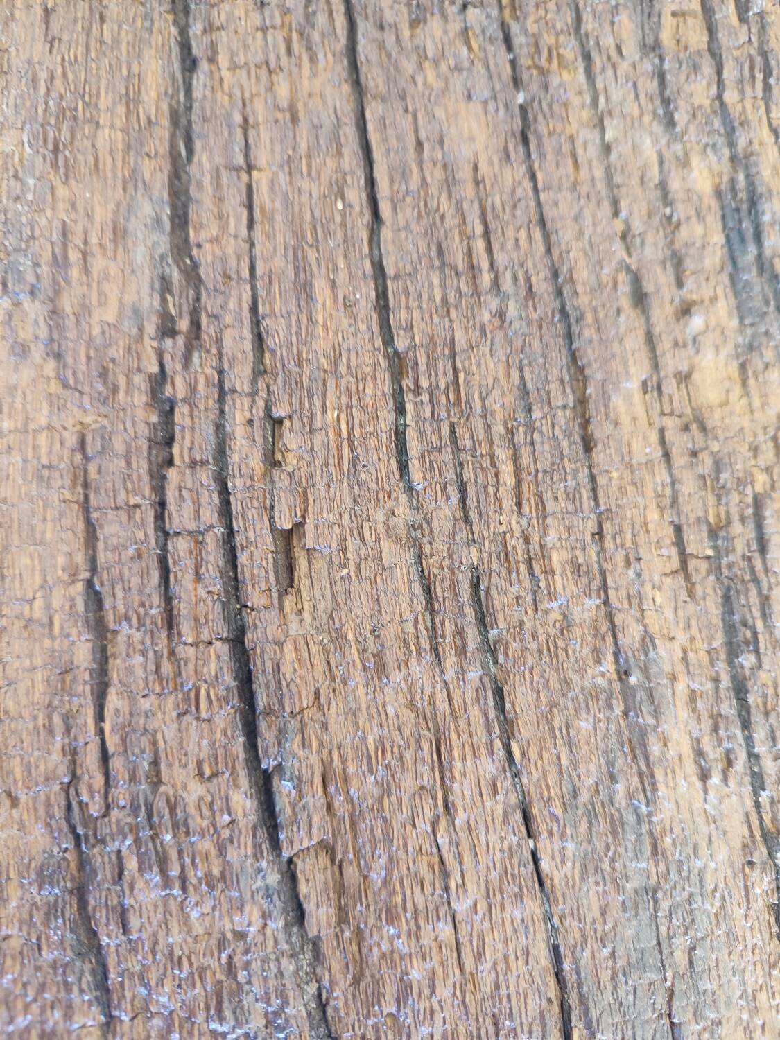 Centenary brutalist bench