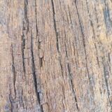 Centenary brutalist bench