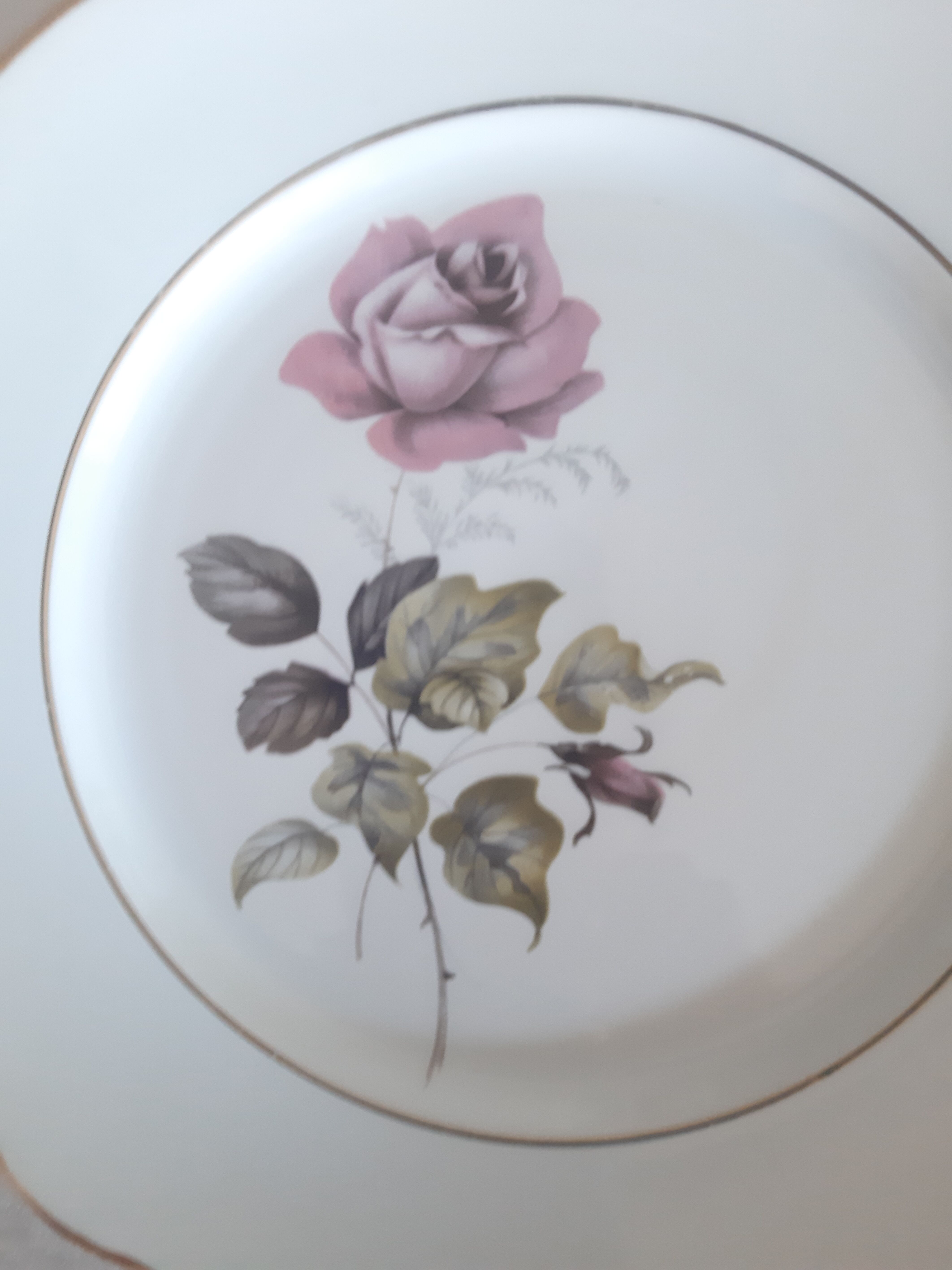 Flat plates Lunéville Badonvillier