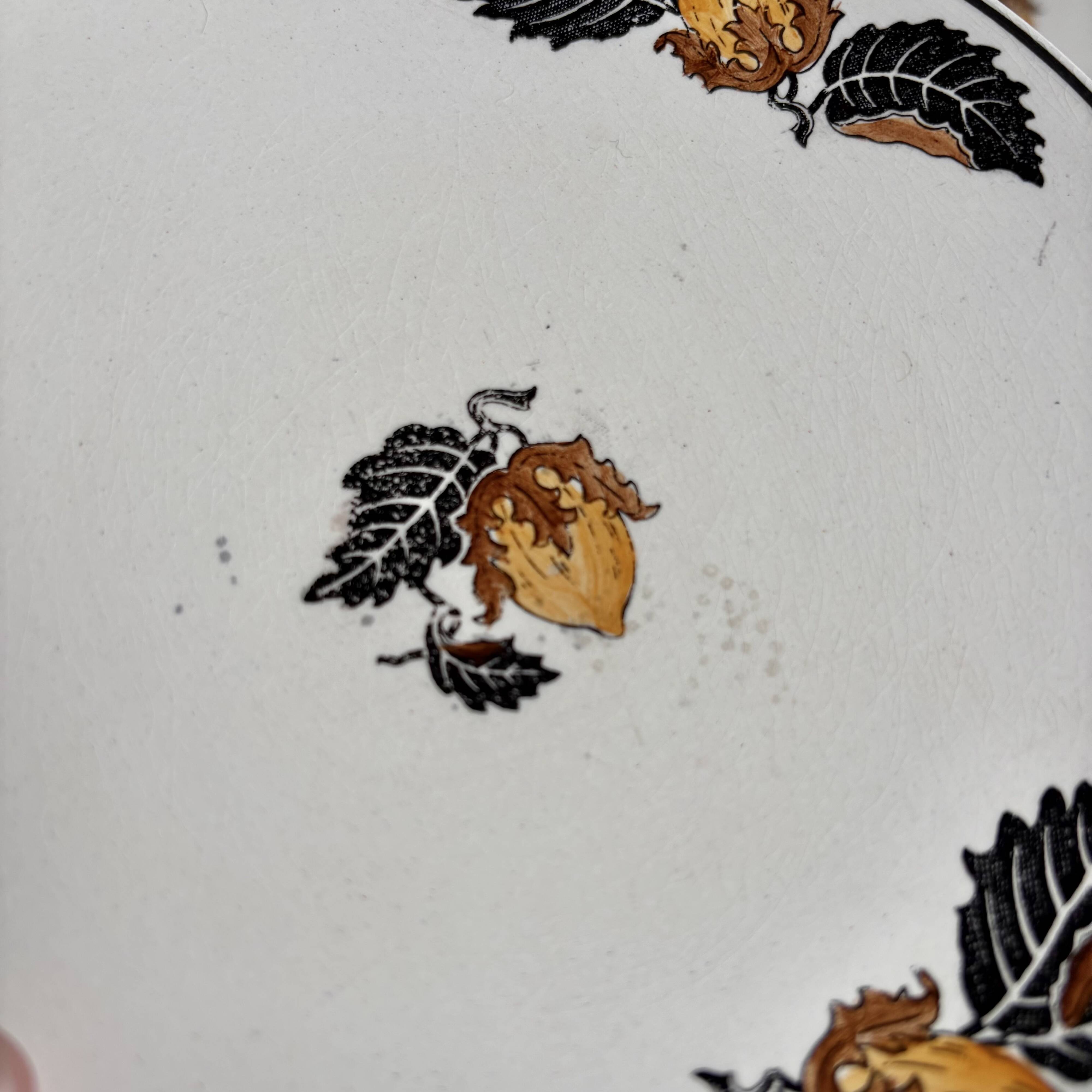 6 plates Longtemps 1915