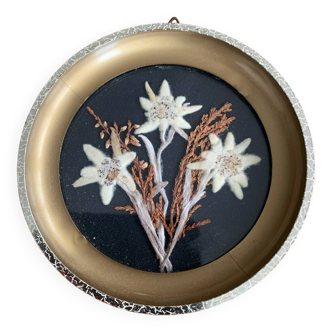 Frame with dried flowers