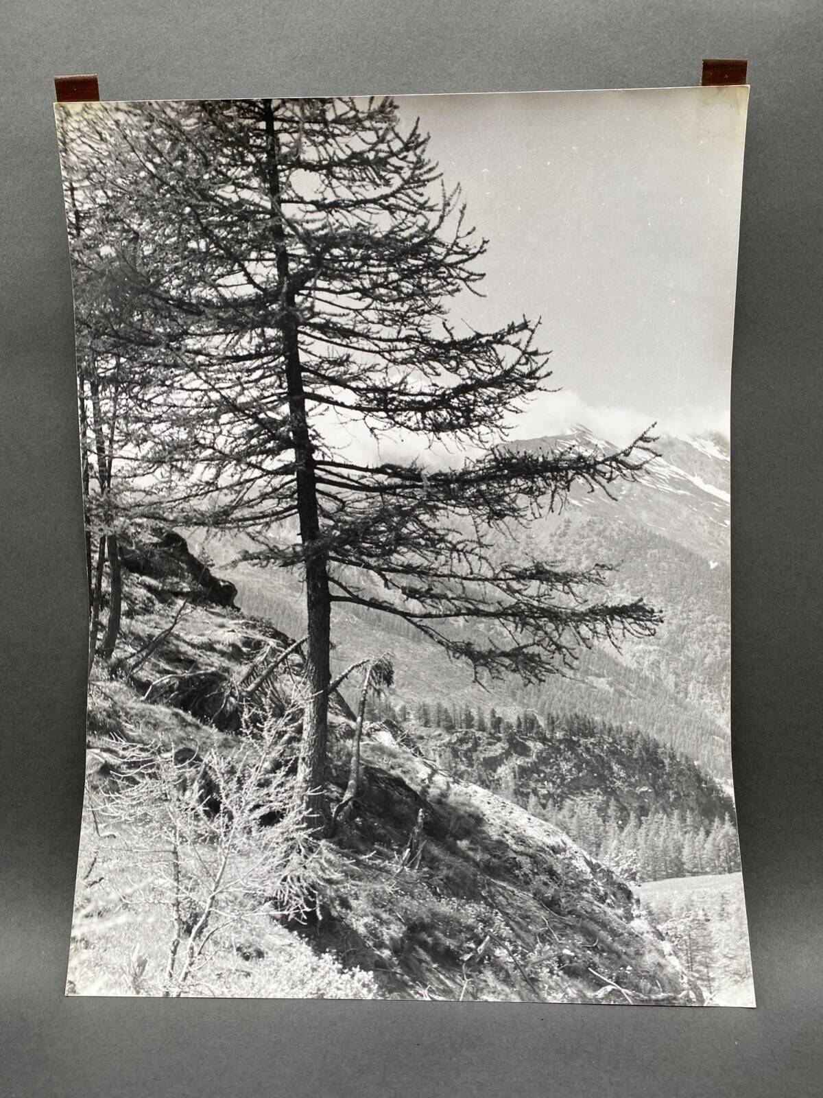 Bernard Darot silver gelatin photograph of a 20th-century mountain landscape