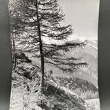 Bernard Darot silver gelatin photograph of a 20th-century mountain landscape