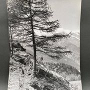 Bernard Darot silver gelatin photograph of a 20th-century mountain landscape