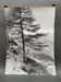 Bernard Darot silver gelatin photograph of a 20th-century mountain landscape