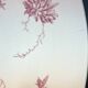 Broc toilet service and bowl in earthenware from gien "varied flowers & cactus
