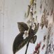 wall poster reproduction of an antique botanical plate