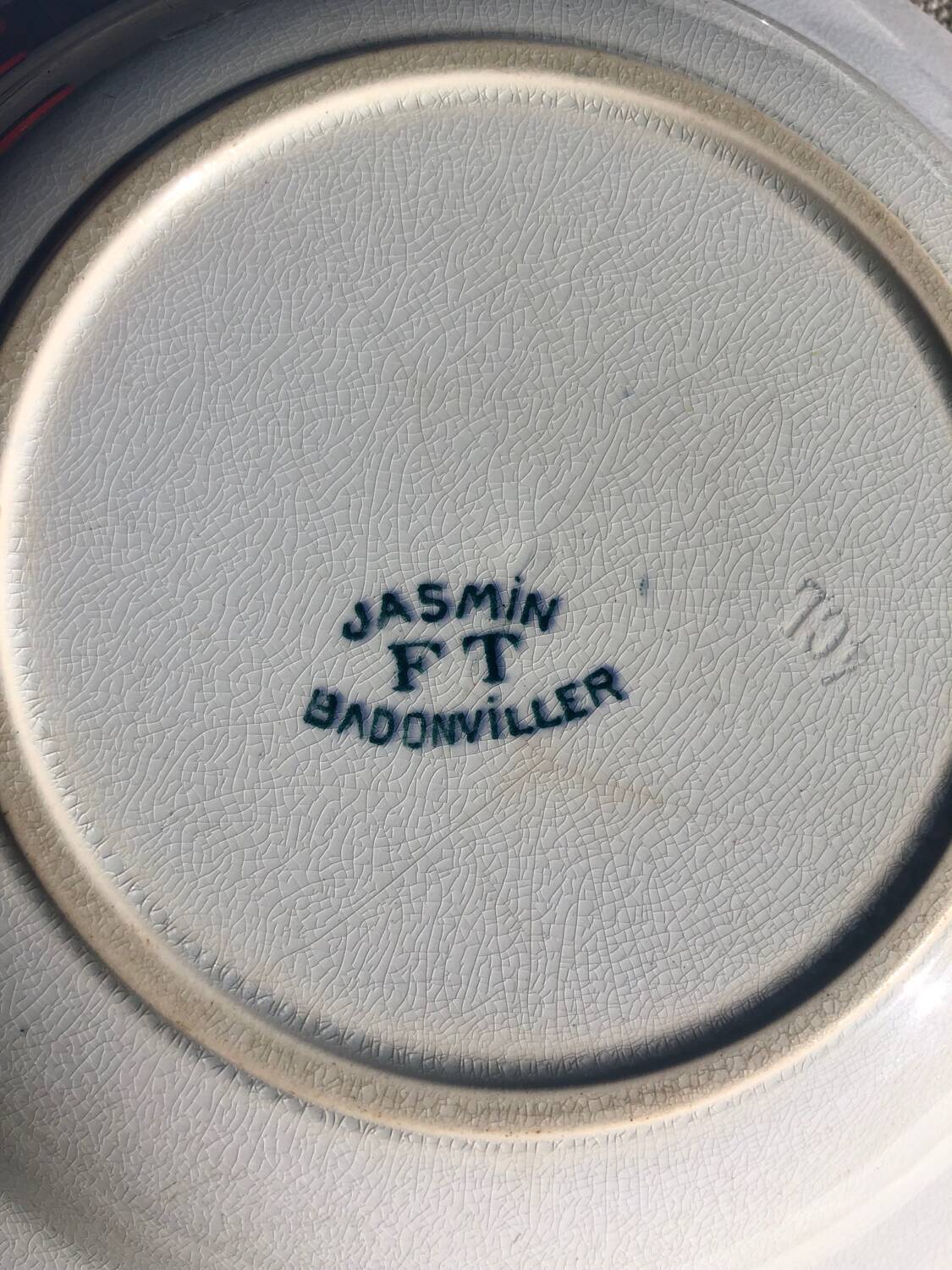 6 Badonviller soup plates Jasmin model