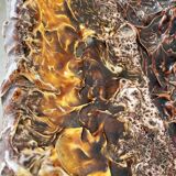 Vallauris fatlava ceramic dish