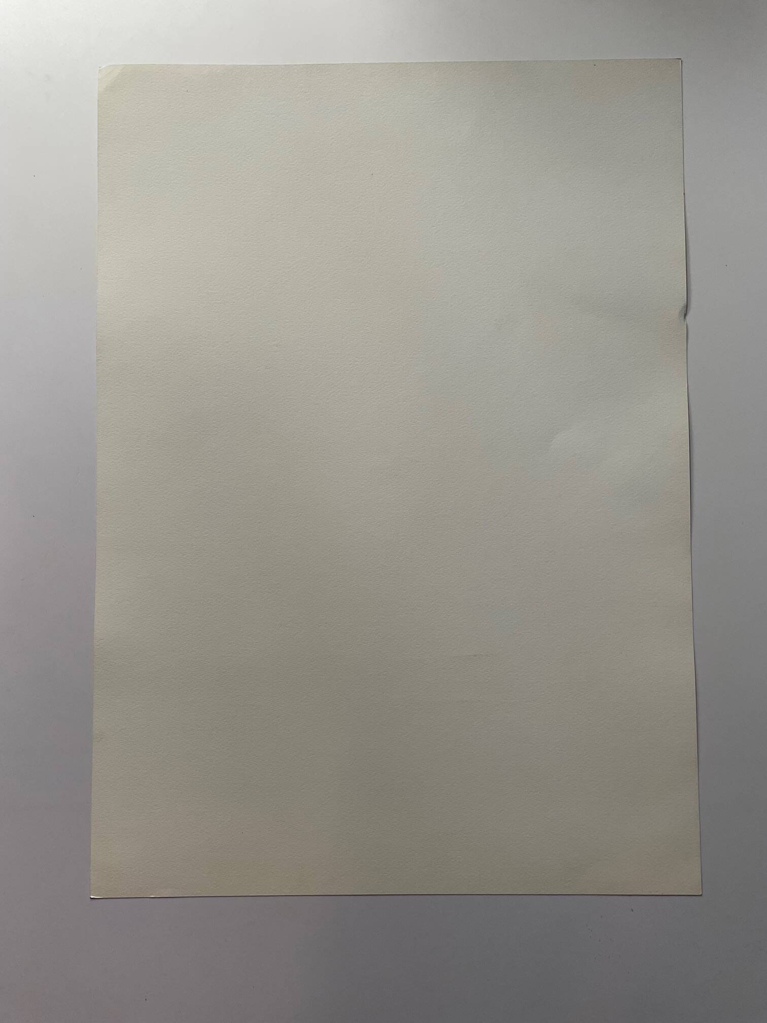 Peter Klasen Original Lithograph, signed in pencil by the artist