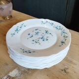 Arcopal plates