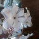 Lustre fleurs et miroir 70'
