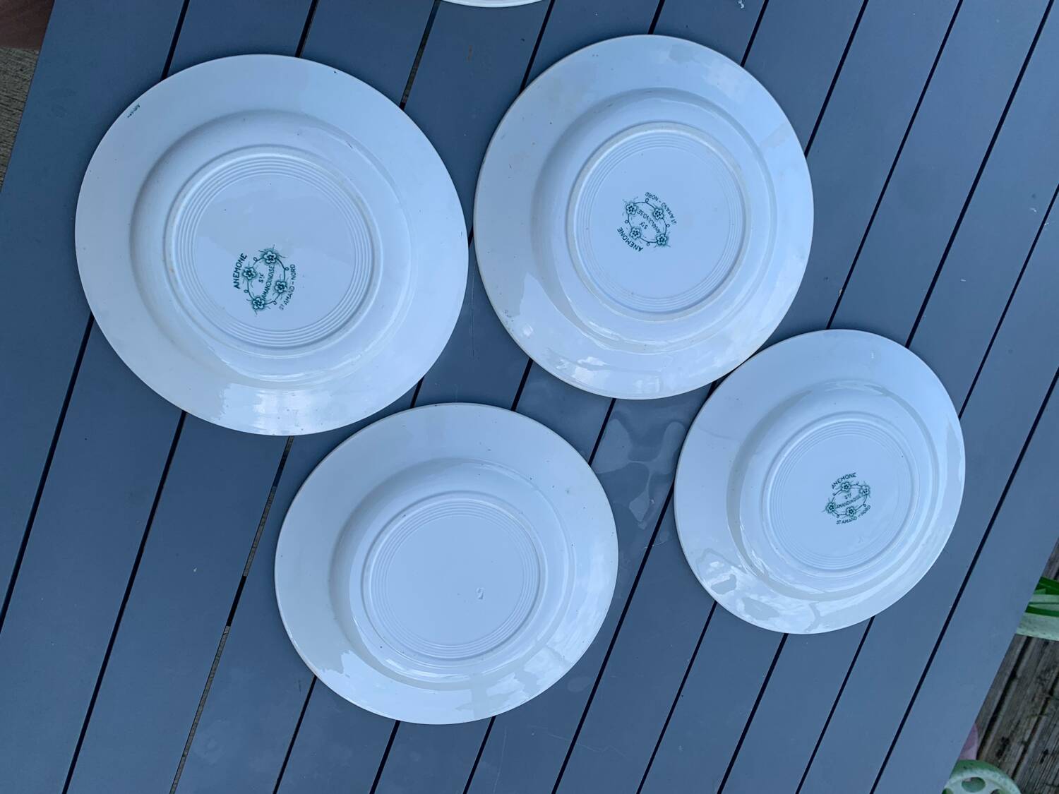 8 St Amand Nord Anémone dinner plates