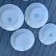 8 St Amand Nord Anémone dinner plates