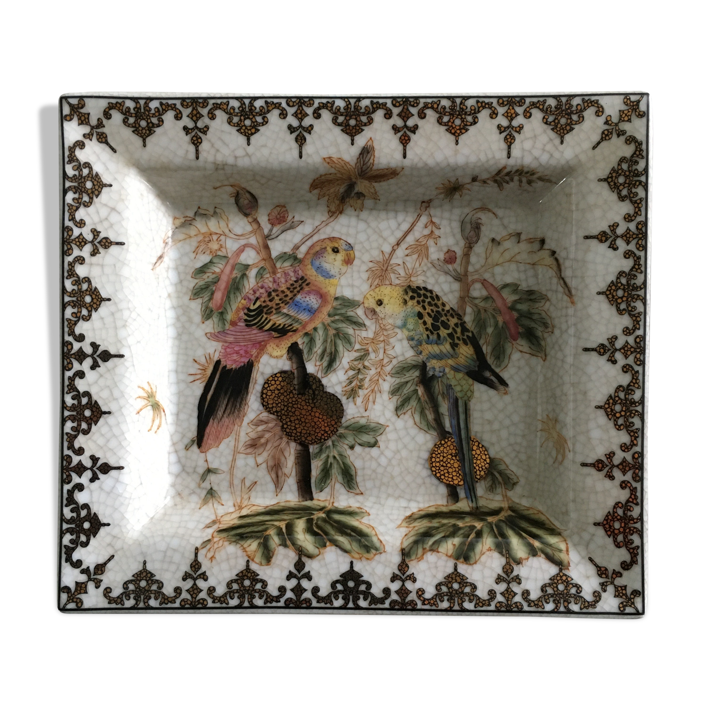 Empty pocket décor parrots