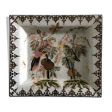 Empty pocket décor parrots