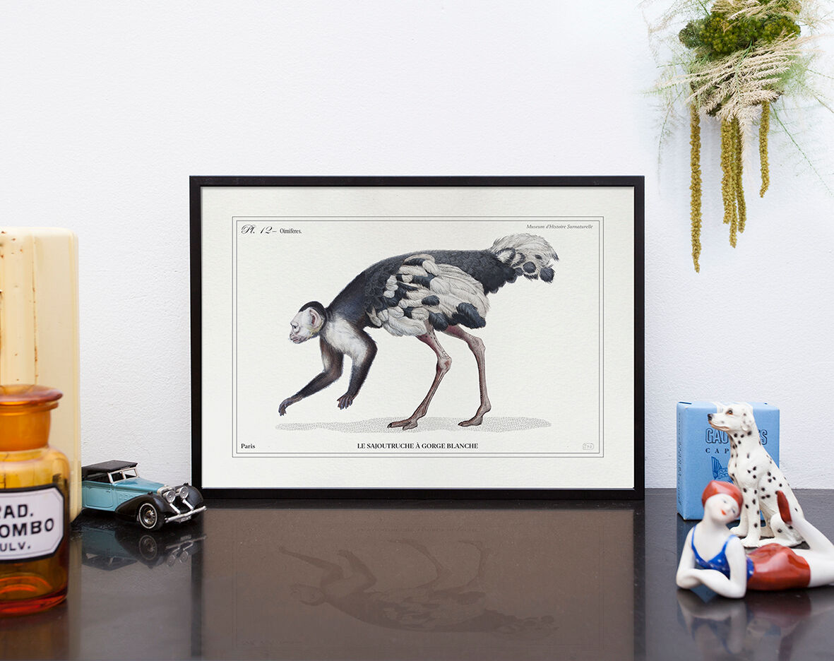 Lithograph engraving chimu00e8re animal - the saddingruche