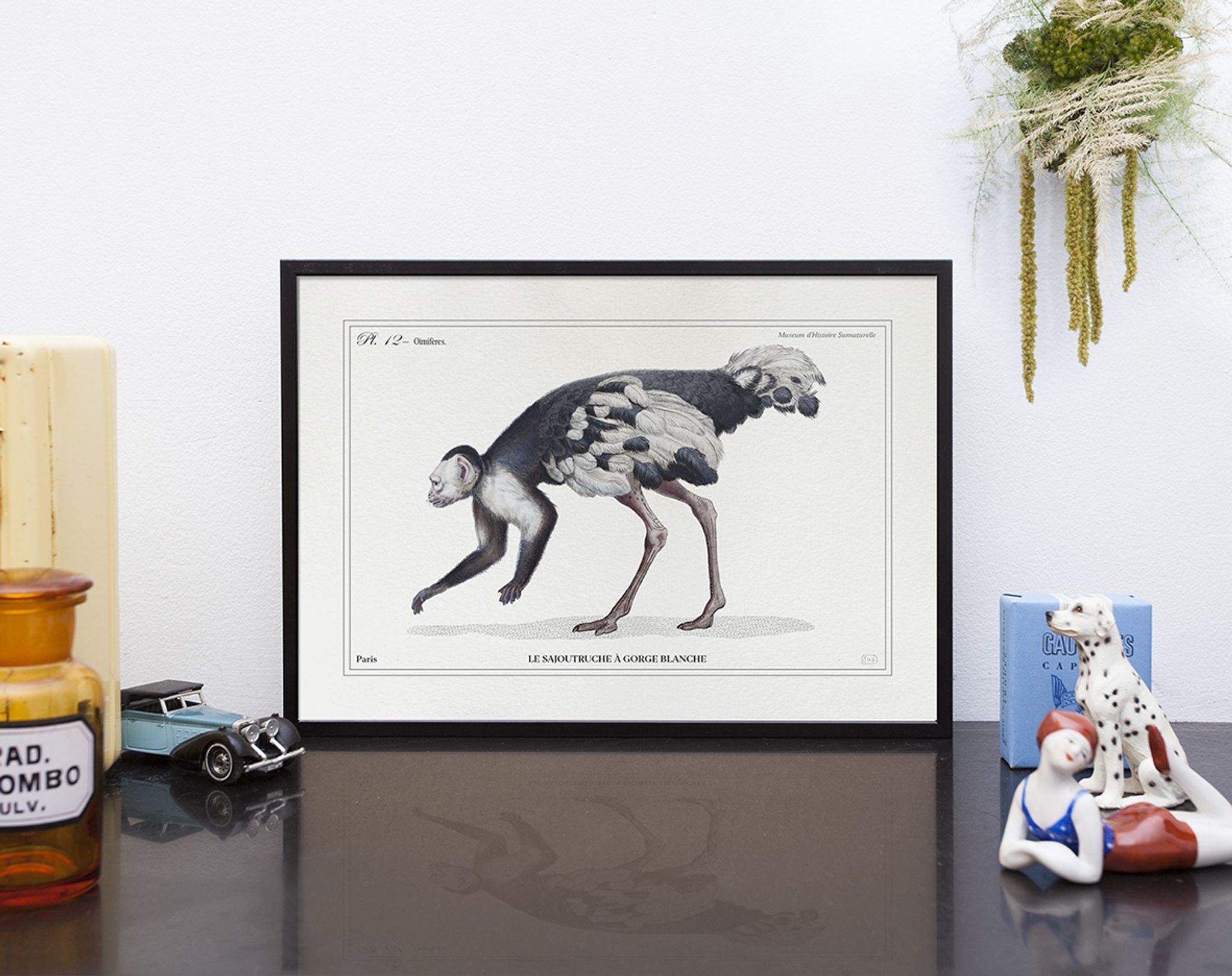 Lithograph engraving chimu00e8re animal - the saddingruche