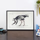 Lithographie gravure chimu00e8re animal - le sajoutruche