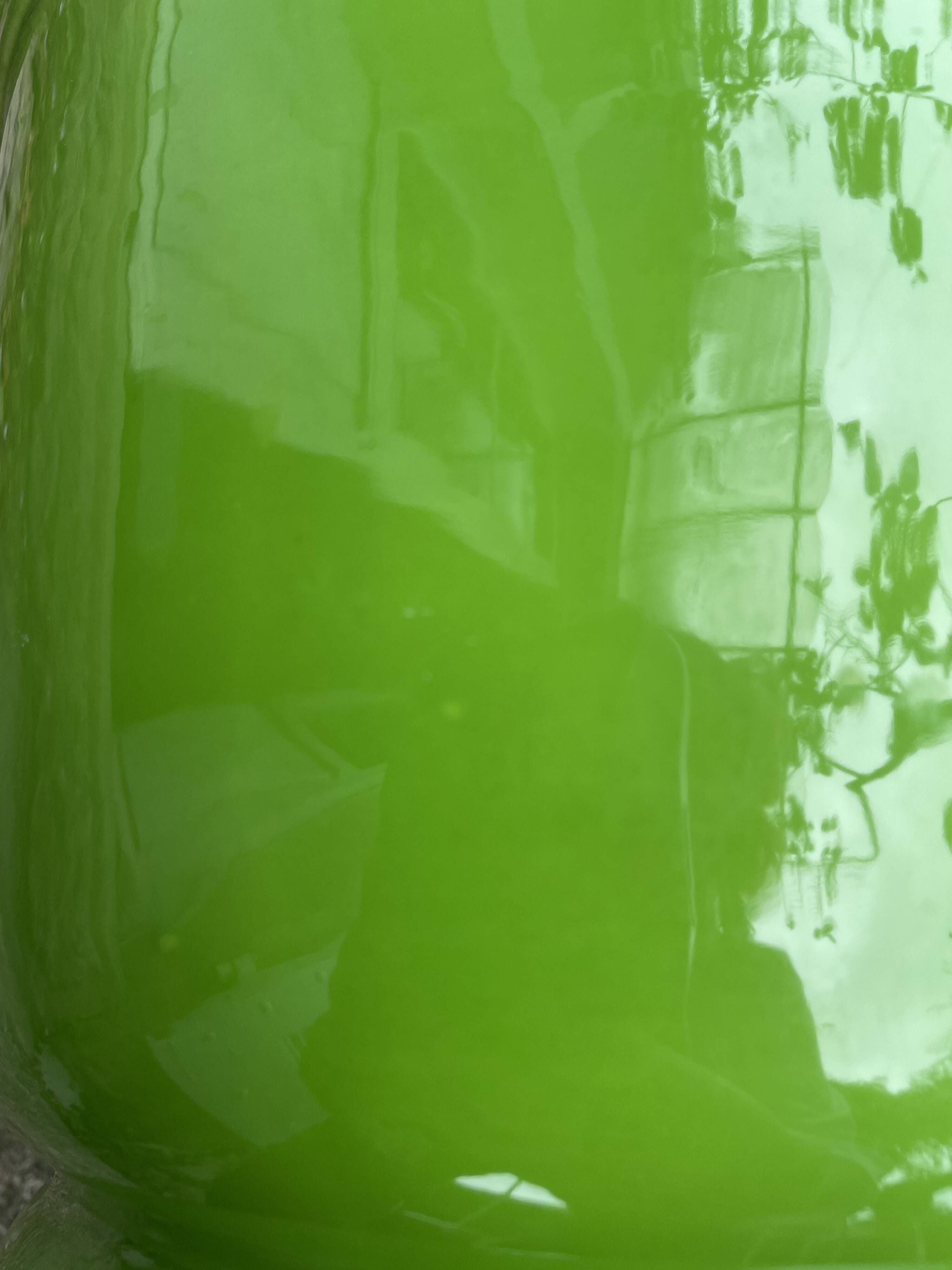 Glazed green pot cover in the style of Moreau Bourg earthenware