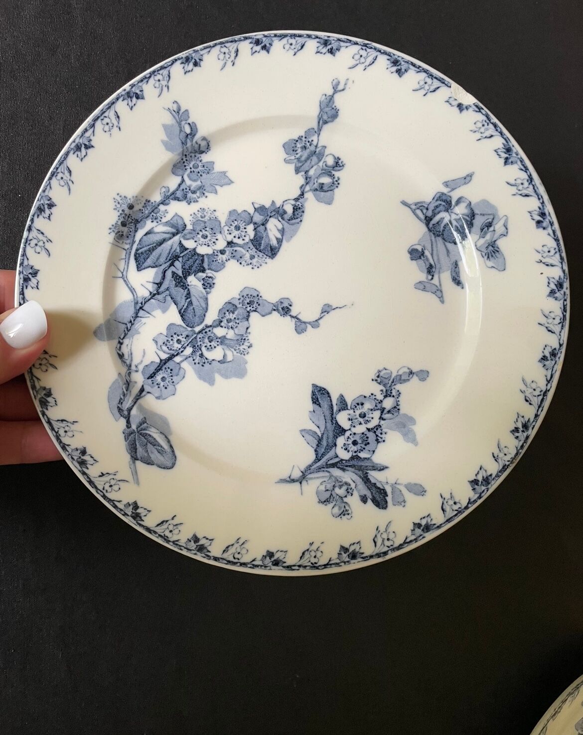 Dessert plates Sarreguemines model Stella