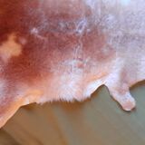 shiny sheepskin
