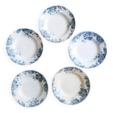 Deep plates (5) in earthenware from Saint Amand and Hamage, Terre de fer, Marie Louise model