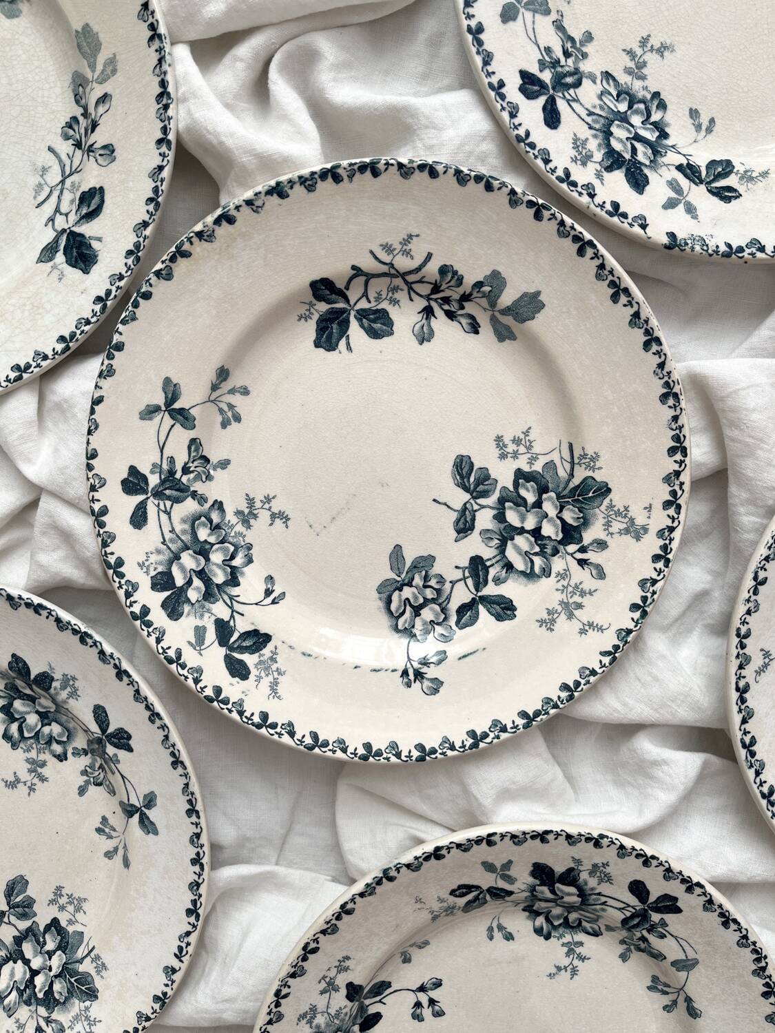6 assiettes plates en terre de fer « Acacia » Moulin des Loups et Hamage