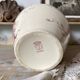Large ironstone jug St Amand Anemone, antique pitcher