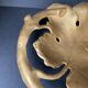 Bronze pocket trays vintage art nouveau vine leaves