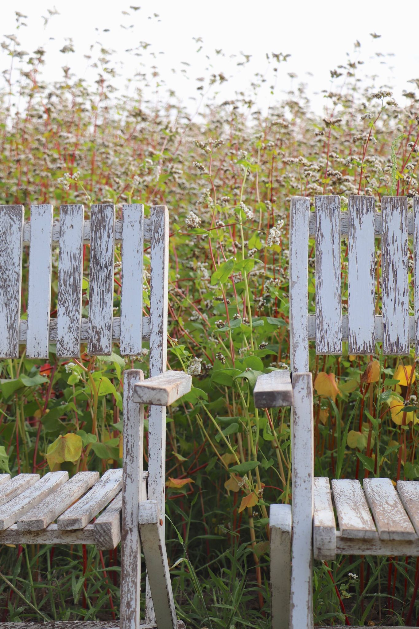 Set of 4 folding garden chairs in slatted wood – 1940 design