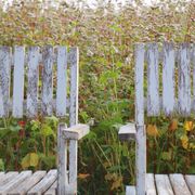 Set of 4 folding garden chairs in slatted wood – 1940 design