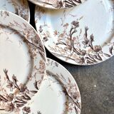 6 dessert plates in iron earth from Creil and Montereau, "Glaïeul" service