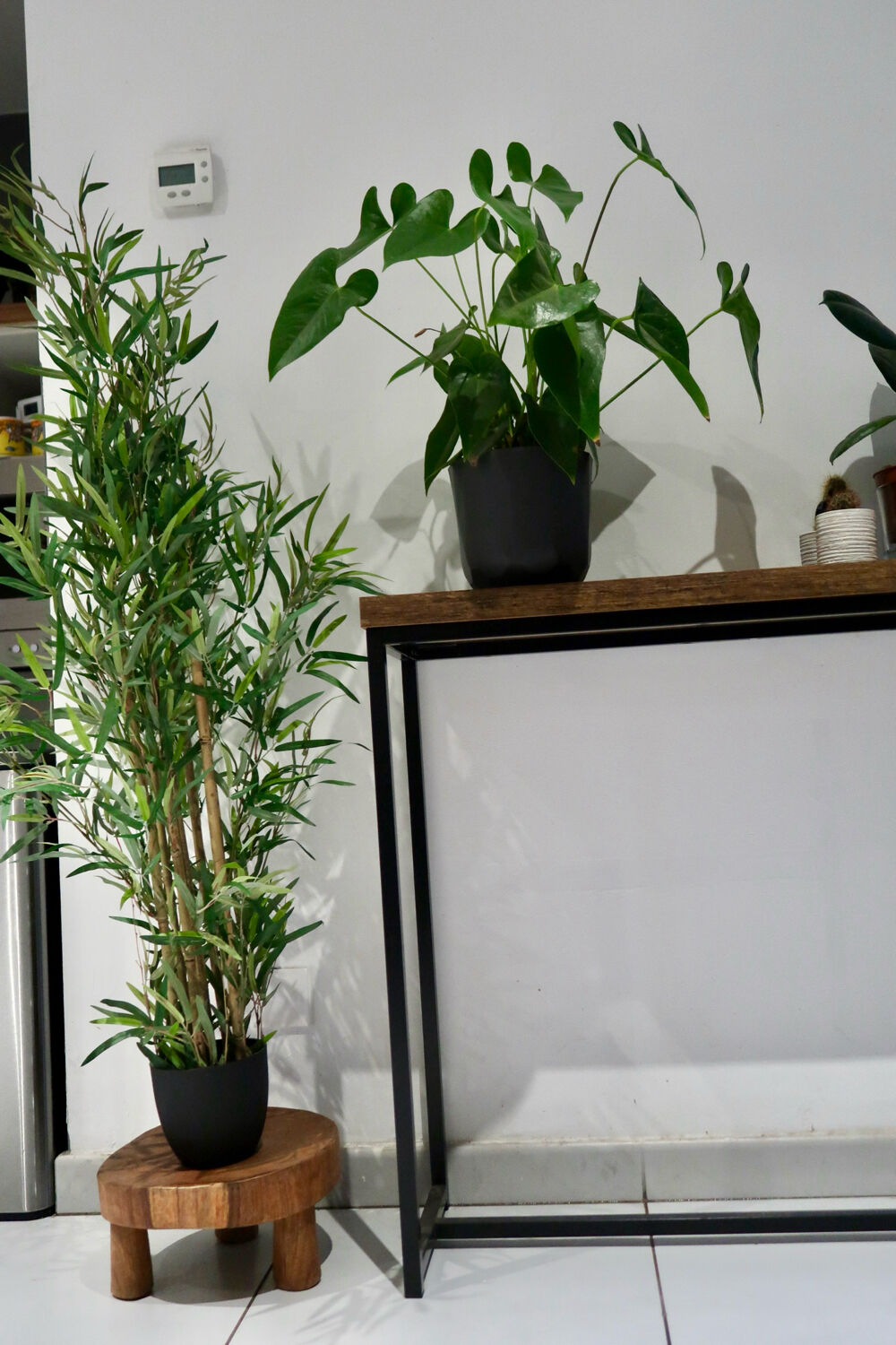 Lobi plant tripod