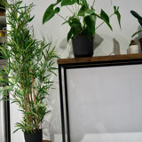 Lobi plant tripod